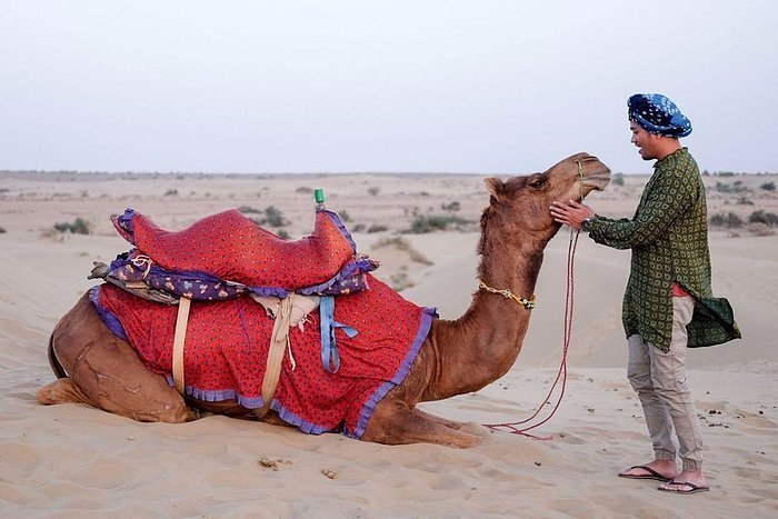 Camel Safari Jaisalmer